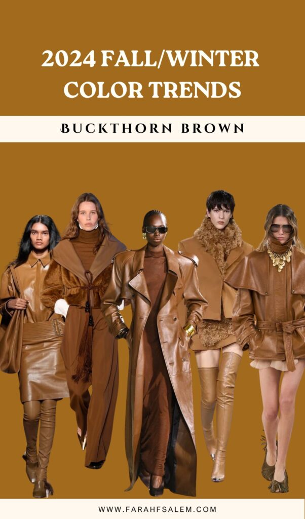 fall winter 2024 color trends, buckthorn brown
